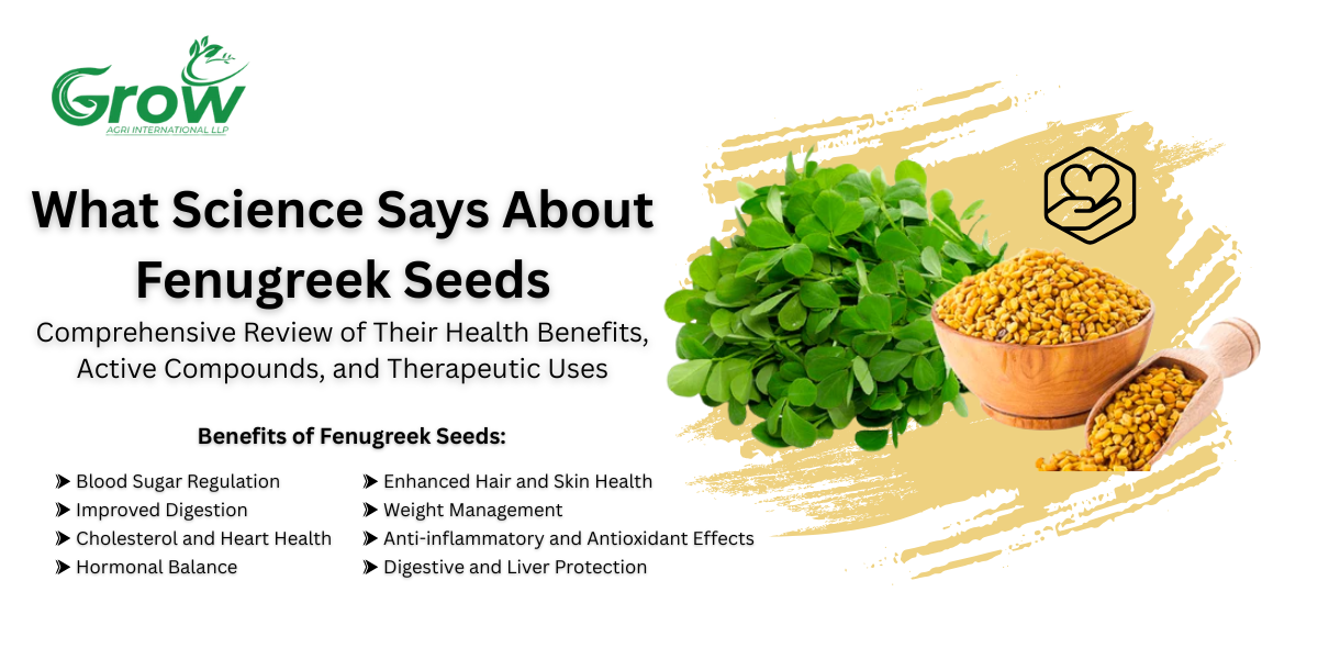 What-Science-Says-About-Fenugreek-Seeds-Comprehensive-Review-of-Their-Health-Benefits-Active-Compounds-and-Therapeutic-Uses.png